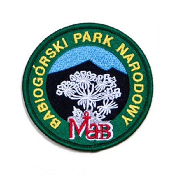 Emblemat Służb Leśnych